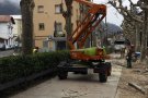Ribes de Freser esporga els arbres del passeig Àngel Guimerà sis anys després