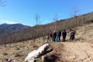 La Vall de Camprodon com a model de la recuperació de pastures i la producció de biomassa