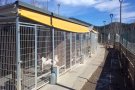 El Consell Comarcal invertirà 20.000 euros per millorar el Refugi d'Animals del Ripollès