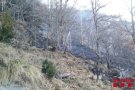Un incendi crema 1'5 hectàrees a Beget, prop del Comanegre