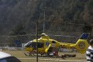 Ribes demana prudència per evitar més casos d'envestides greus de vaques
