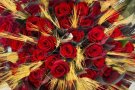 El Ripollès es prepara per viure un Sant Jordi festiu molt intens