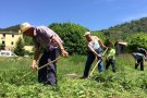Divuit dalladors participen a la demostración de dallar de Vallfogona
