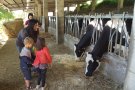 El Ripollès també s'ha sumat al 