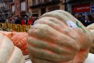 Una carbassa de més de 600 quilos guanya el concurs de la Fira de la Carbassa de Sant Joan
