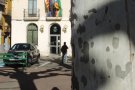 Campdevànol obre el termini per obtenir l'ADN dels gossos de manera gratuïta