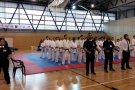 Uns 70 participants al Campionat de Promeses de Ripoll