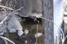L'ajuntament de Queralbs està pendent de l'ACA per poder arrenjar el pont de Serrat 