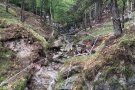 Els millors pilots de trial del món, en tres dies a Camprodon