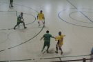 Els partits amistosos marquen l'agenda dels equips de l'hoquei patins, futbol sala i bàsquet pel pont de la Diada