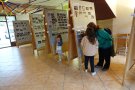 Llanars celebra els 20 anys dels Dansaires de l'Om amb una exposició 