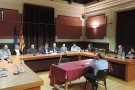 Plens extraordinaris al Ripollès per condemnar l'empresonament del Govern