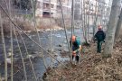 Camprodon neteja les les lleres dels rius Ter i Ritort 