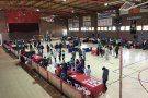 350 alumnes del Ripollès participen a l'English Day