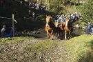 Les Cuines de la Vall de Camprodon impulsen una nova temporada gastronòmica del poltre 