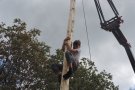 Nova edició de la festa històrica del Pi de Maig a Les Llosses