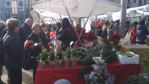 Fira de Ripoll