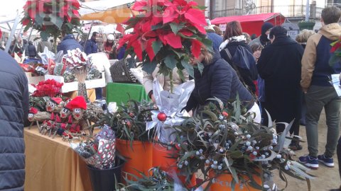 Fira de Ripoll