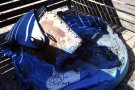 Cremen cinc contenidors durant la matinada a Ripoll