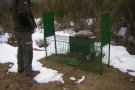 El departament d'Agricultura denuncia la Societat de Caça de Camprodon per l'ús de trampes il·legals
