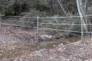 Denuncien la construcció il·legal d'un trial a l'EIN de l'Alta Garrotxa en terme municipal de Camprodon