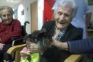 Prova pilot de teràpia assistida amb gossos a l'hospital de Campdevànol