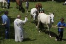 Benedicció dels cavalls i dinar de germanor per celebrar l'Aplec de Salarsa