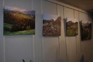 Ribes va inaugurar l'exposició de Josep Gassó a la galeria Padequart