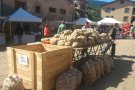 Vilallonga de Ter ha celebrat l'onzè Mercat de la Trumfa 
