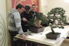 Sant Joan de les Abadesses ha celebrat la XVIII Exposició de Bonsai