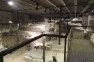 La necròpolis del Monestir es podrà visitar en molt poc temps