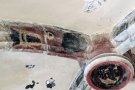 Descobreixen 48 dracs que ornamenten els nervis de les voltes de l'Església de Sant Pere de Ripoll 