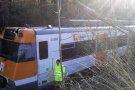 La caiguda d'un arbre sobre la catenària del tren de la R3 abans d'arribar a Ribes de Freser ha estat la principal incidència provocada pel vent