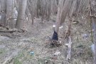 Nova reparació al passeig dels Aurons de Ripoll