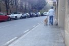 Moren gossos i gats a Ripoll per menjar trossos de carn amb vidres a dins