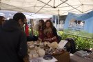 Molta gent a la Fira Formatgera de la Vall de Ribes