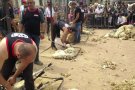 La festa de la llana i el casament a pagès, arriben un any més a Ripoll