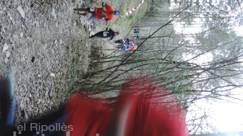 Sant Silvestre a Campdevànol