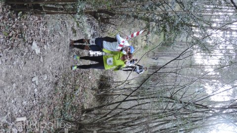 Sant Silvestre a Campdevànol
