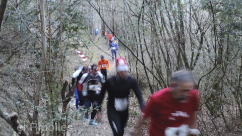 Sant Silvestre a Campdevànol