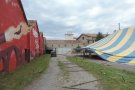 Clownia comença a agafar forma