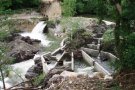 Els peixos ja poden remuntar el Ter a Camprodon gràcies a una escala 