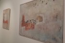 Ripoll inaugura una exposició dedicada a Chikako Tekatani