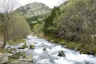 El Govern aprova la declaració del Parc Natural de les Capçaleres del Ter i del Freser