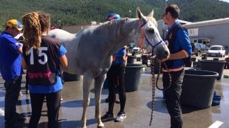 Jaume Puntí s'endú el XXIè Raid Hípic de Ripoll