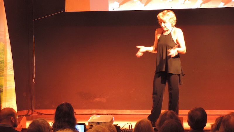 L'actuació de Sol Picó va omplir el teatre de la vila dissabte a la nit