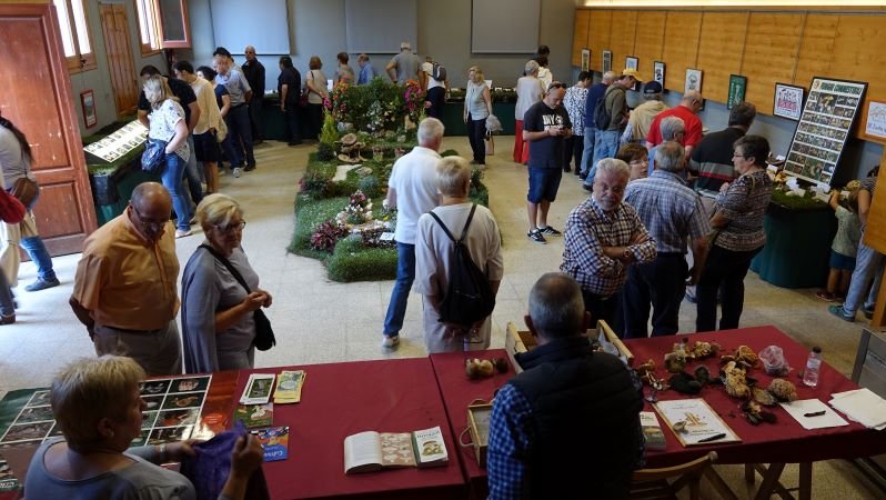 L'exposició de bolets tornarà aquest cap de setmana a la Sala dels Estudis