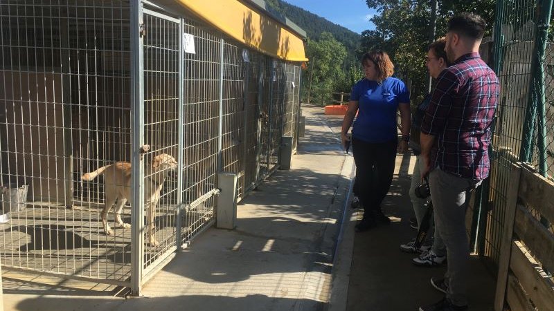 El nombre d'exemplars ha augmentat durant els mesos d'estiu