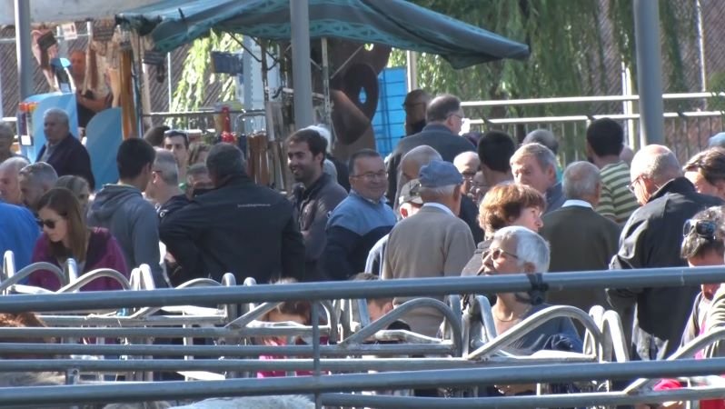 La Fira de Bestiar de la Vall de Ribes ha estat molt concorreguda
