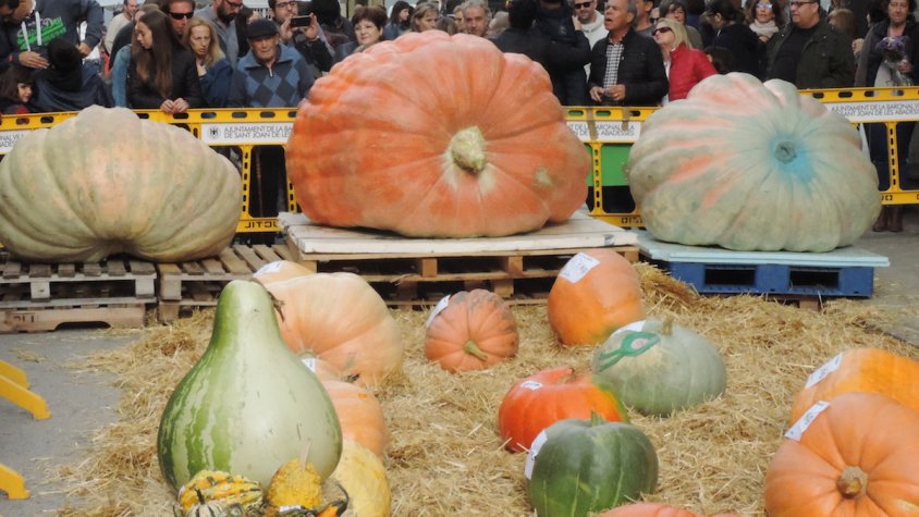 Diferents premis per a carbasses de tot tipus a la fira santjoanina